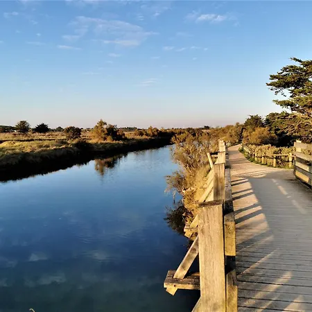 L Oliveraie - Piscine Chauffee Hébergement de vacances Les Sables-dʼOlonne