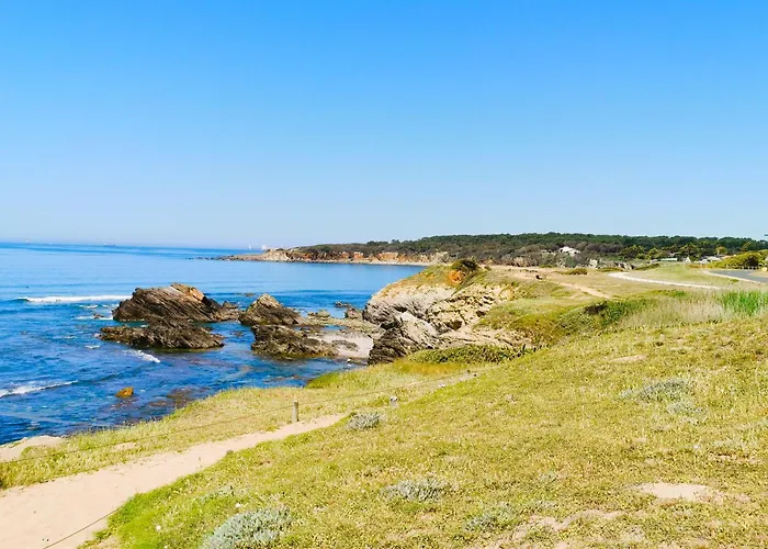 L Oliveraie - Piscine Chauffee Les Sables-dʼOlonne